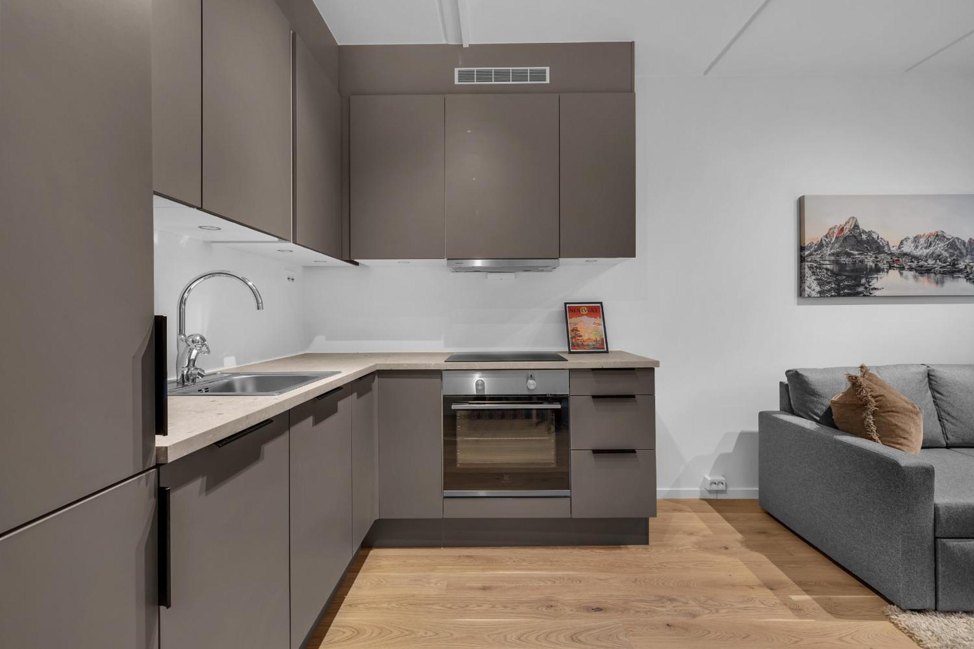 Apartment Vervet - 1 Bedroom With Sofabed Tromso