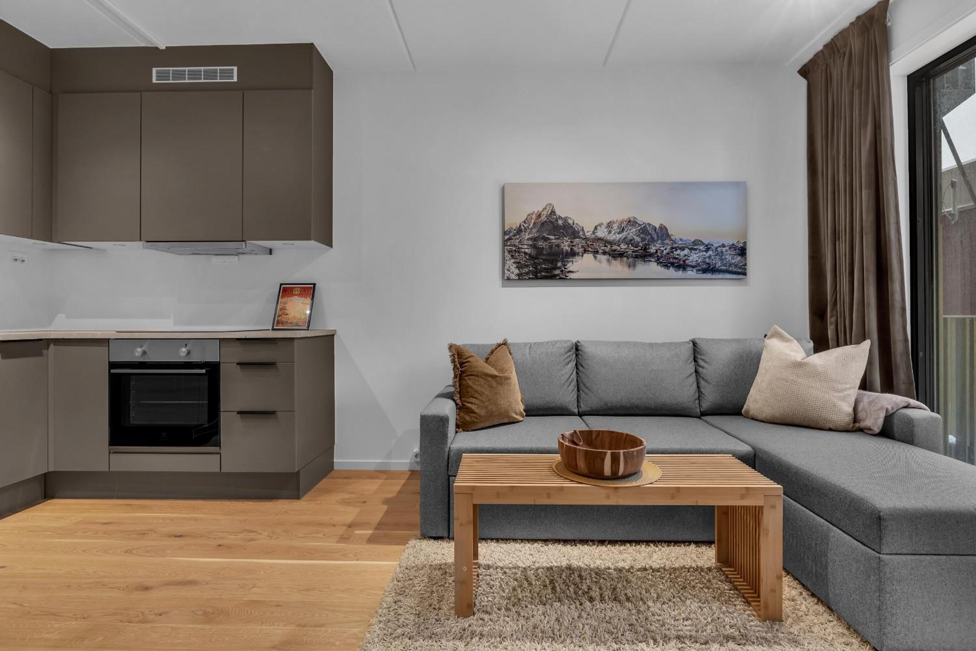 Apartment Vervet - 1 Bedroom With Sofabed Tromso