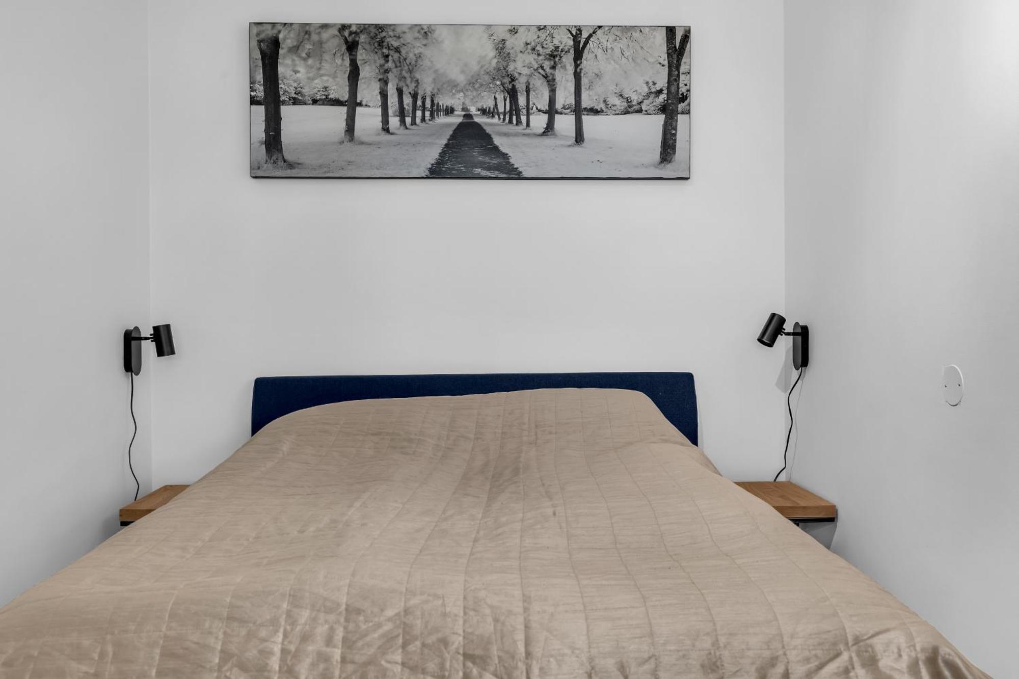 Vervet - 1 Bedroom With Sofabed